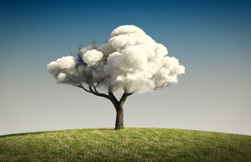 La nature, notre objet ou personne morale ? « les arbres doivent-ils pouvoir plaider ? »