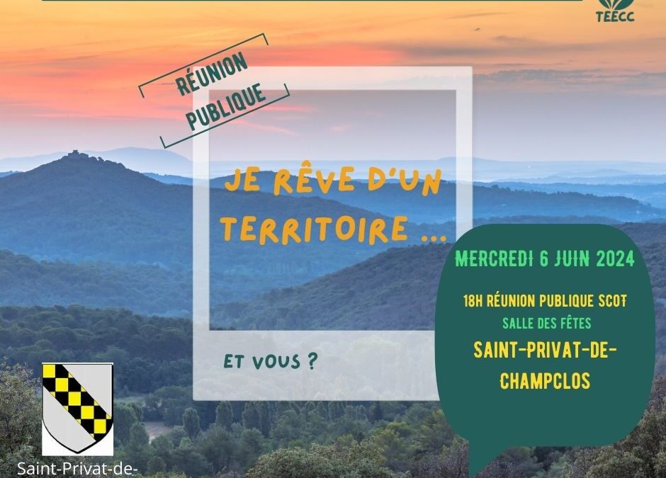 Synthèse des réunions publiques